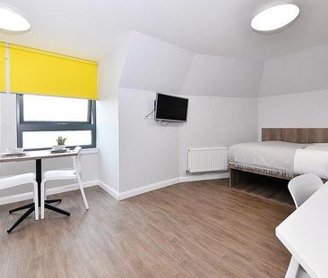 1 bedroom in a flat share to rent - Photo 4