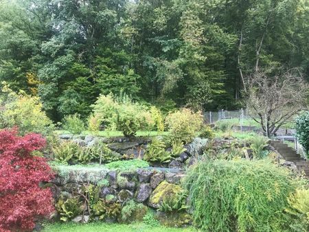 MAISON DE 5 PIÈCES À BONSTETTEN (ZH), MEUBLÉE, TEMPORAIRE - Foto 3