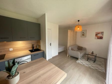 Studio 25m2 meublé - Refait à neuf - Ascenseur - Photo 3