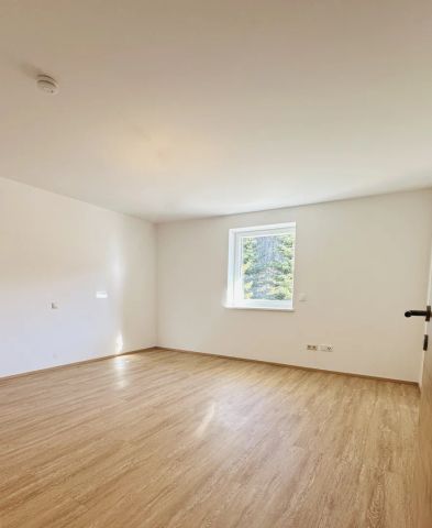 Top-sanierte 4-Zimmer-Wohnung mit Südterrasse am nördlichen Stadtrand von Salzburg - Photo 2