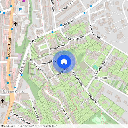 Chelsea Heights, David Baldwin Way, Sheffield
