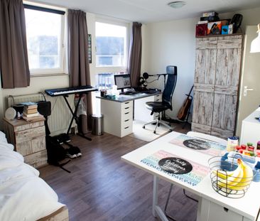 Bolderikweerd 27, Room no. B14 - Photo 5