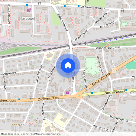 Häberlinstrasse 11, 8500 Frauenfeld