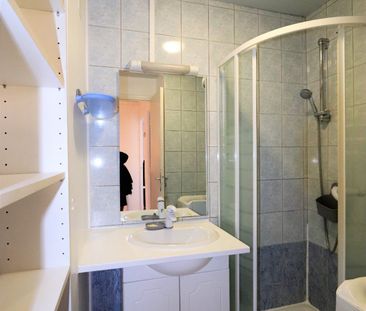 Location Appartement 2 pièces 52m² GRENOBLE 38100 - Photo 5