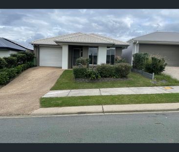 17 Wedgetail Street, Bahrs Scrub, Qld 4207 - Photo 6