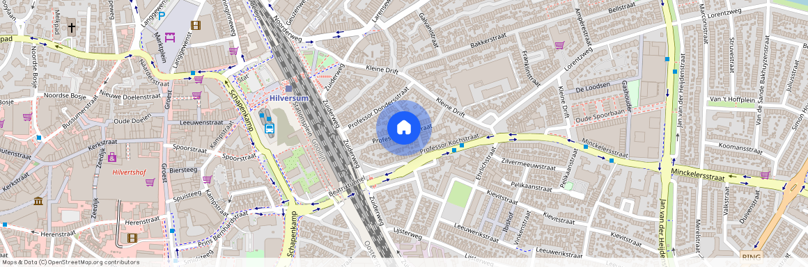 Professor Poelsstraat, Hilversum