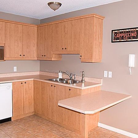 ✨ Magnifique 4 ½ au rez-de-chaussée – Confort, tranquillité et lumière ! - Photo 3