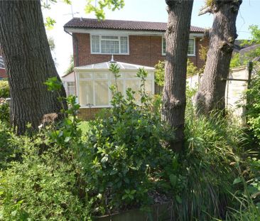 1 bedroom house to rent - Photo 6