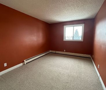 2 Bedroom Apartment In Lakeview - Photo 2