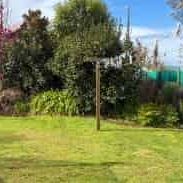 Sunny and Private Two Bedroom Retreat - Photo 2
