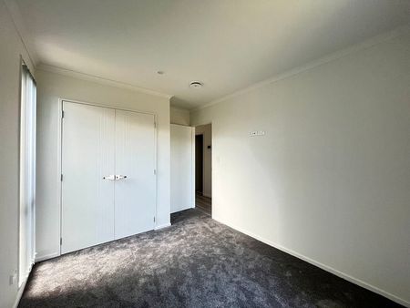 Beautiful 3 Bedroom Home in Pokeno - Photo 3