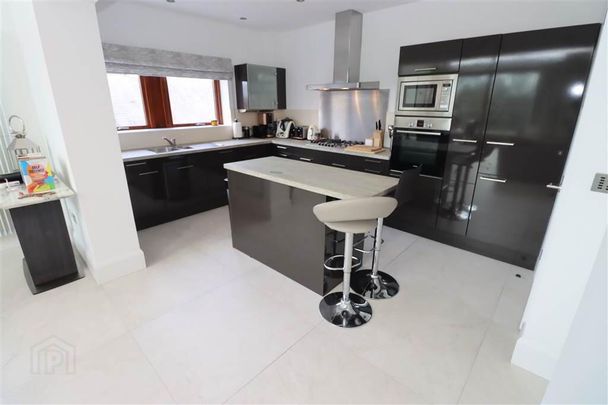 42 Windsor Park, Belfast, BT9 6JU - Photo 1