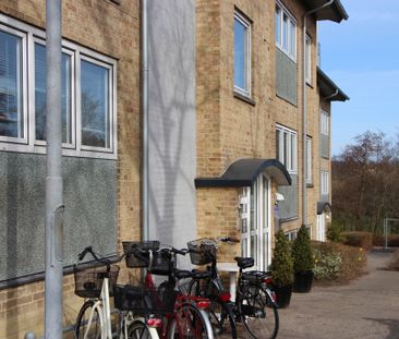 7800, Skive - Foto 6