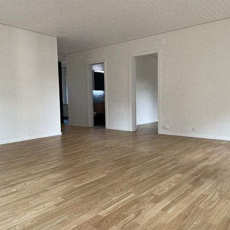 Erstvermietung - Lichtdurchflutete Stadtwohnung zu vermieten - Foto 1