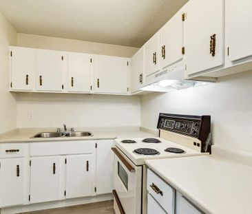 2 Bedroom - Photo 5