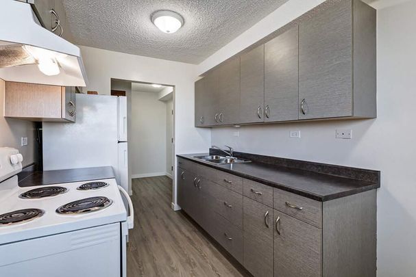 Renovated Suite - 1 Bedroom - Photo 1