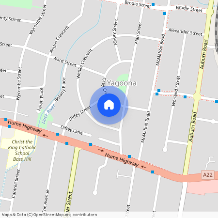 38B GRAY CRESCENT, NSW 2199, Yagoona