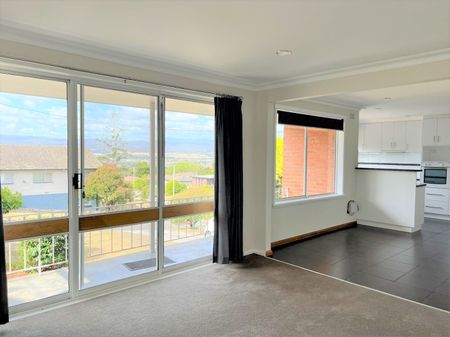 Sunny and Spacious Home - Photo 5