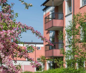 Levertinsgatan 7, Uppsala/Knivsta - Foto 2