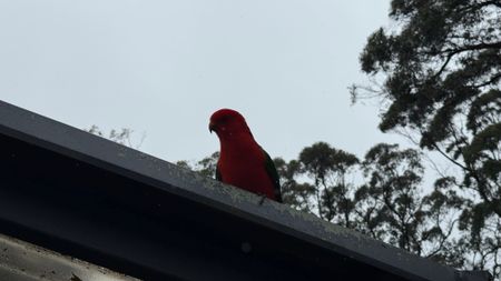 Kinglake - Photo 3