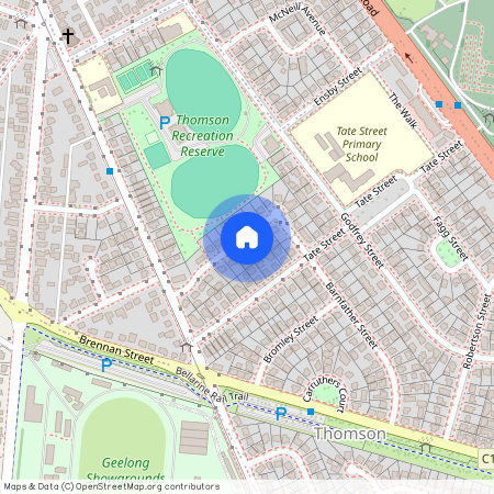 8 Birdsey St, Vic 3219, Thomson