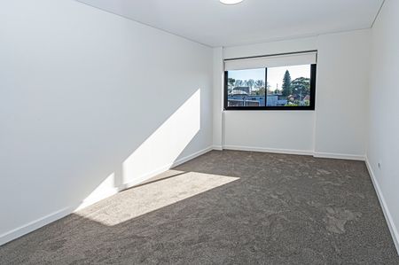 BRAND NEW TOP FLOOR APARTMENT WITH CAR PARKING & STORAGE - Photo 5