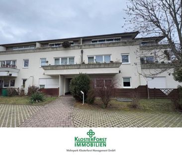 Schöne 2-Zimmer Wohnung mit eigener Südwest-Terrasse am Großen Garten - Foto 1