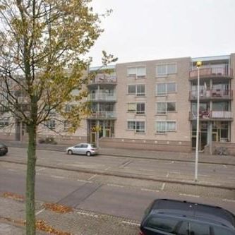 Drinkwaterweg, 3063 JC Rotterdam, Nederland - Photo 3