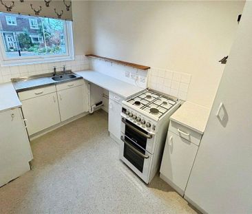 3 bedroom terraced house to rent - Photo 6