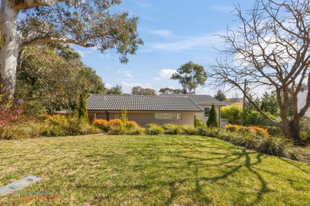 16 Beauchamp Street, Deakin ACT 2600 - House For Rent | Domain - Photo 5