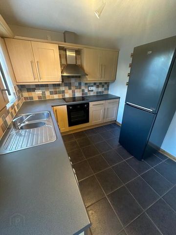 14 Henryville Meadows, Ballyclare, BT39 9FY - Photo 5