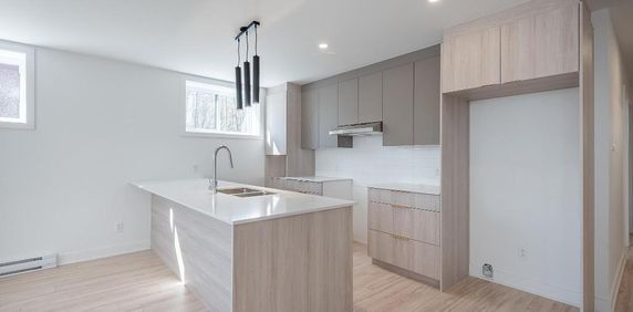 Appartement 5 1/2 à louer St-Hyacinthe (Douville) - Photo 2