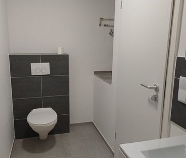 Appartement 1 pièce à Saulnes - Photo 5