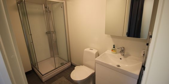 Lisbeth salander gata, Skellefteå - Foto 3