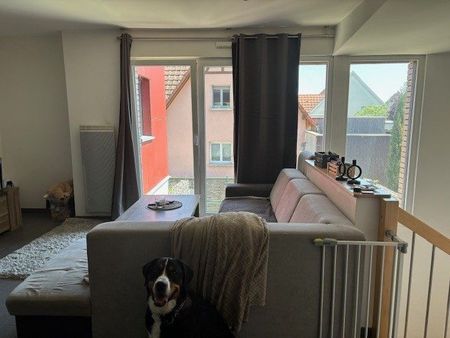 Duplex Dahlenheim - Photo 5