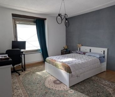 TEMPORAIRE - Petite, fine et centrale votre maison à Zurich-Enge - Photo 4