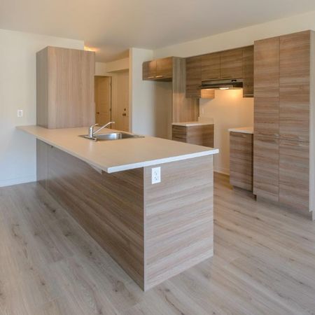 Logement 5 1/2 - 1er mai 2026 - Photo 4