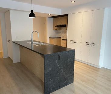 Logement 5 1/2 - Ascenseur - Mars 2026 - Photo 3