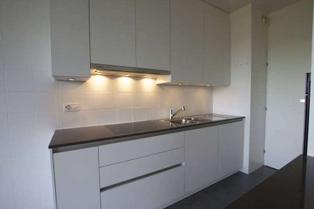Spacieux appartement de 5 pièces avec balcons à Champel - Photo 5