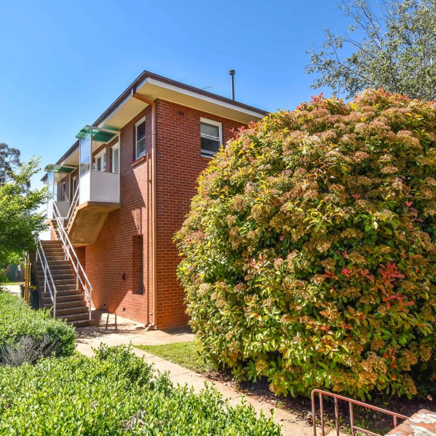 Cute, Cozy and Central - Photo 1