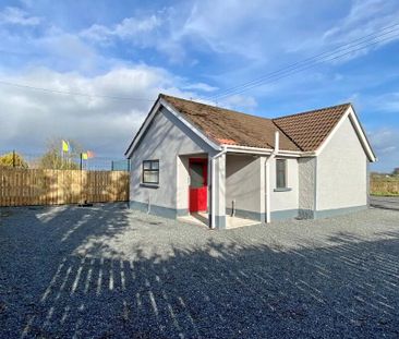 149 Mahon Road, Portadown, BT62 3SF - Photo 5