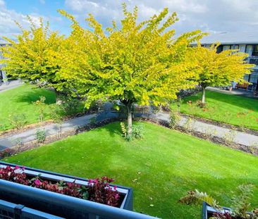 Over 65's One Bedroom Apartment - Photo 5