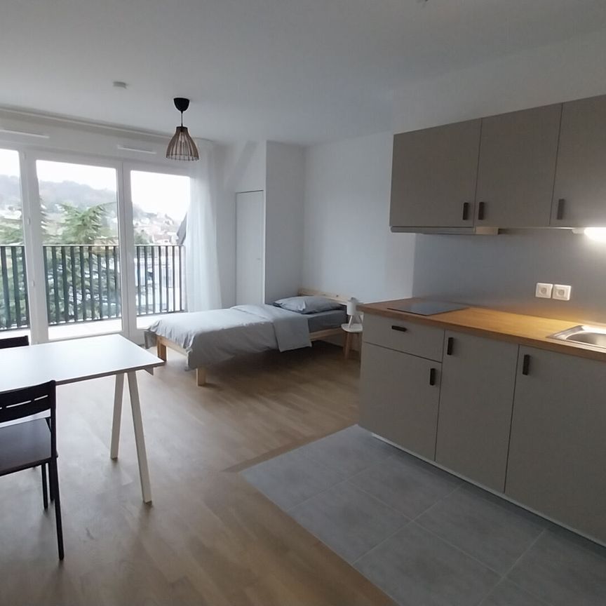 Appartement T1 près de VILLEBON SUR YVETTE à louer - Photo 1