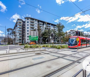 24/77 Northbourne Avenue, Turner ACT 2612 - Apartment For Rent | Do... - Photo 6