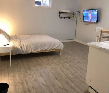 Available Now/Oct 1st Basement Bright furnished bachelor - Photo 1