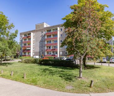 Mit Aufzug: 1-Zimmer-Wohnung mit Balkon - Foto 5