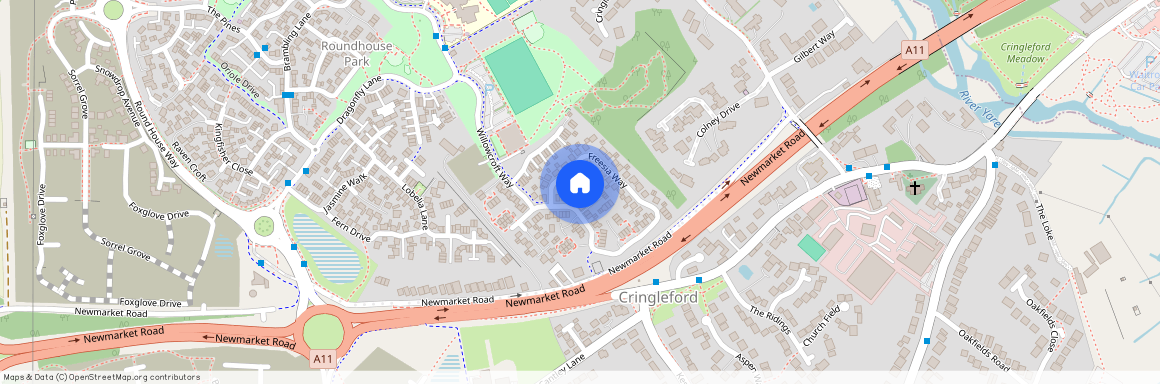 Willowcroft Way, Norwich, NR4