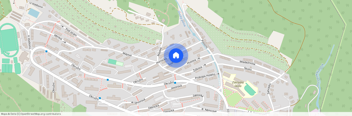 Hornická 202, Meziboří