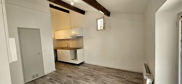 Location Appartement 1 pièce 27m² GONFARON 83590 - Photo 1