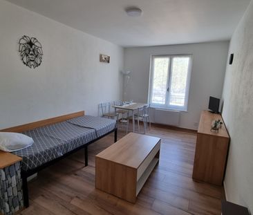 Location Appartement 1 pièce 22m² LE PEAGE DE ROUSSILLON 38550 - Photo 6